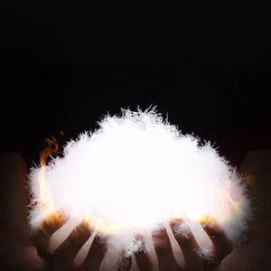 Plumas de Ganso Premium Certificadas RDS, Relleno Estándar Europeo de 850 FP para Chaquetas, Edredones y Rellenos de Almohadas - Product Image 1