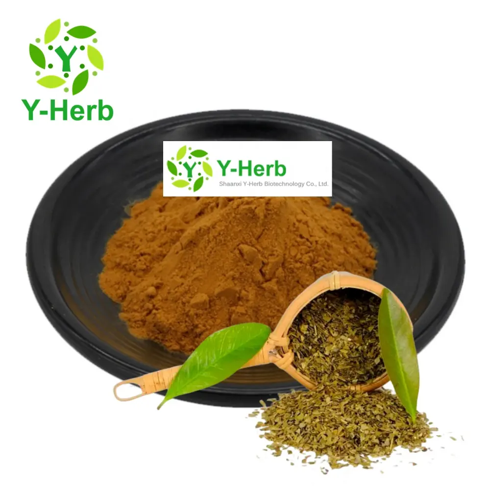 Yerba arkadaşı çay P.E. Toplu organik Yerba Mate çay/yaprak tozu 20% polifenoller Yerba Mate çay ekstresi