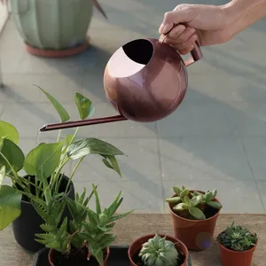 Arrosoir en acier inoxydable de 1L, petit arrosoir de jardinage avec poignée pour arroser les plantes, outil de jardinage pour fleurs - Product Image 4