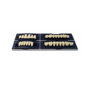 Due strati di denti in resina sintetica <span class=keywords><strong>KAILI</strong></span> denti finti pieno arco dentale 28*1 protesi - Product Image 3