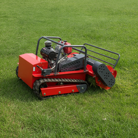 Livraison Gratuite Tondeuse Robot à Fléaux Télécommandée Tout-Terrain Agricole à Moteur Diesel CE EPA 800mm 1000mm 1200mm