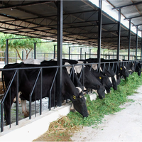 Structure en acier préfabriquée moderne de haute qualité pour l'élevage de bovins, de moutons et de volailles, et pour les fermes d'élevage de vaches