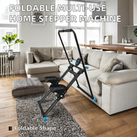 Equipo de Fitness Multifuncional Plegable de Hierro OEM, Máquina de Entrenamiento para Subir Escaleras, CN ZHE Hebei China