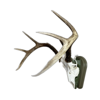 Faux Taxidermy Antler Rack Trophy Mount-Décoration murale-Noir et or