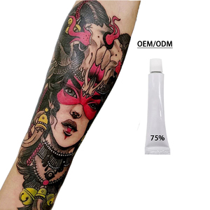 Venta al por mayor: Nuevas tendencias en polvo para tatuajes, crema para cejas y labios, crema de tratamiento, maniquí de práctica para tatuajes, venta directa. - Product Image 4