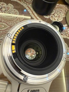 EF 100-<span class=keywords><strong>400mm</strong></span> F4.5-5.6L IS USM Telefoto Zoom <span class=keywords><strong>Lens</strong></span> için Profesyonel Tam Kare DSLR Fotoğraf Makinesi Lensi - Product Image 2