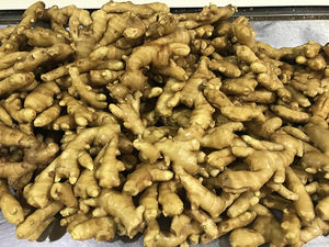 Pembeli jahe baru impor dari pabrik Cina harga rendah - Product Image 6