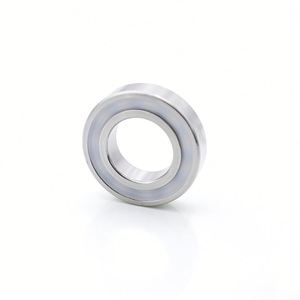 Roulements en acier inoxydable 316 6700-6704 Lubrifiés à l'huile Scellés 2RS Résistants à la corrosion acide et alcaline Roulements médicaux - Product Image 6