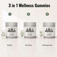 Gummies bien-être 3-en-1 aux herbes naturelles OEM/ODM, infusées au Shilajit, bonbons pour adultes, soutien immunitaire et du sommeil, stimulant quotidien sûr pour la santé, 200g
