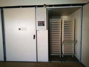 Máy Ấp Trứng Gà 19200 Máy Ấp Trứng Lớn Gia Cầm Tự Động Công Suất Lớn Máy Setter Kích Thước Lớn Giá Tốt Nhất - Product Image 6