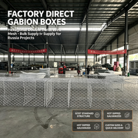 Caisse de gabion galvanisée à chaud conforme à la norme GOST, cage de gabion hexagonale pour la protection des rives des rivières en génie hydraulique en Russie
