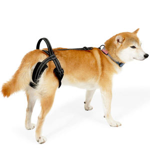 Harnais de levage pour chien, sangle de soutien pour chiens âgés, blessés ou handicapés, soutien des pattes arrière, ceinture réfléchissante, aide à la marche pour animaux de compagnie - Product Image 1