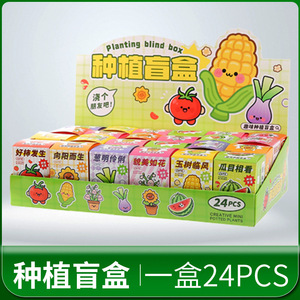 Caja Sorpresa Creativa de Plantas en Maceta, Mini Adornos de Escritorio para Niños, Observación de Frutas y Flores en Jardín de Infancia, 24 Piezas - Product Image 4