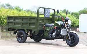 Triciclo de carga con motor de gasolina de 250cc de cuerpo abierto, motor refrigerado por agua de 1000W - Product Image 5