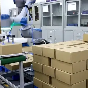20kg 25kg 30kg Cooperative Robot Portable Palletizer/ High Payload Cooperative Robot Palletizer Cobot Packing Line