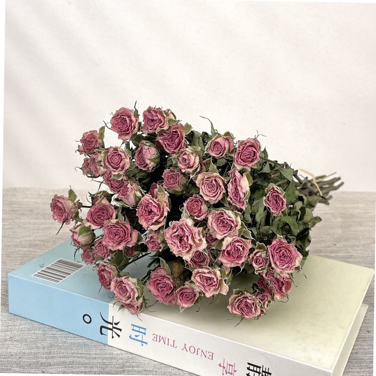 เจ้าหญิงลู