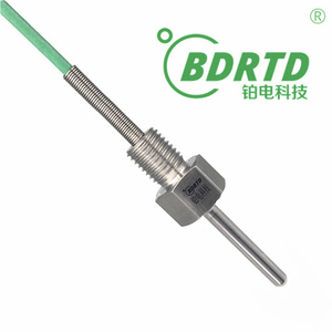 Hot bán thép không gỉ vít thăm dò cảm biến nhiệt độ cặp nhiệt điện RTD PT100 pt1000 - Product Image 4