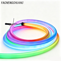Bande lumineuse LED néon RGBIC adressable étanche IP67 en silicone noir D25mm à 360 degrés pour la décoration des parcs à thème