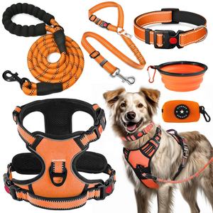 Individuelles Set mit Sicherheitsgurt, Faltnäpfen, Kotbeutelspender, Hundehalsband, Leine und Geschirr mit Messingbeschlägen für das Hundetraining - Product Image 1
