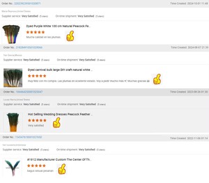 Nhuộm Bất Tự Nhiên Con Công Lông Cho Bán Đảng Lễ Hội Trung Tâm Đám Cưới Nhà Xmas Kỳ Nghỉ Trang Trí Nội Thất DIY Thủ Công Hoa Trang Phục - Product Image 5