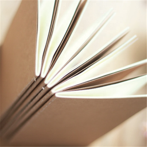 Papier kraft vierge vintage, 50 pièces, pour carnet <span class=keywords><strong>de</strong></span> notes, logo personnalisé - Product Image 3