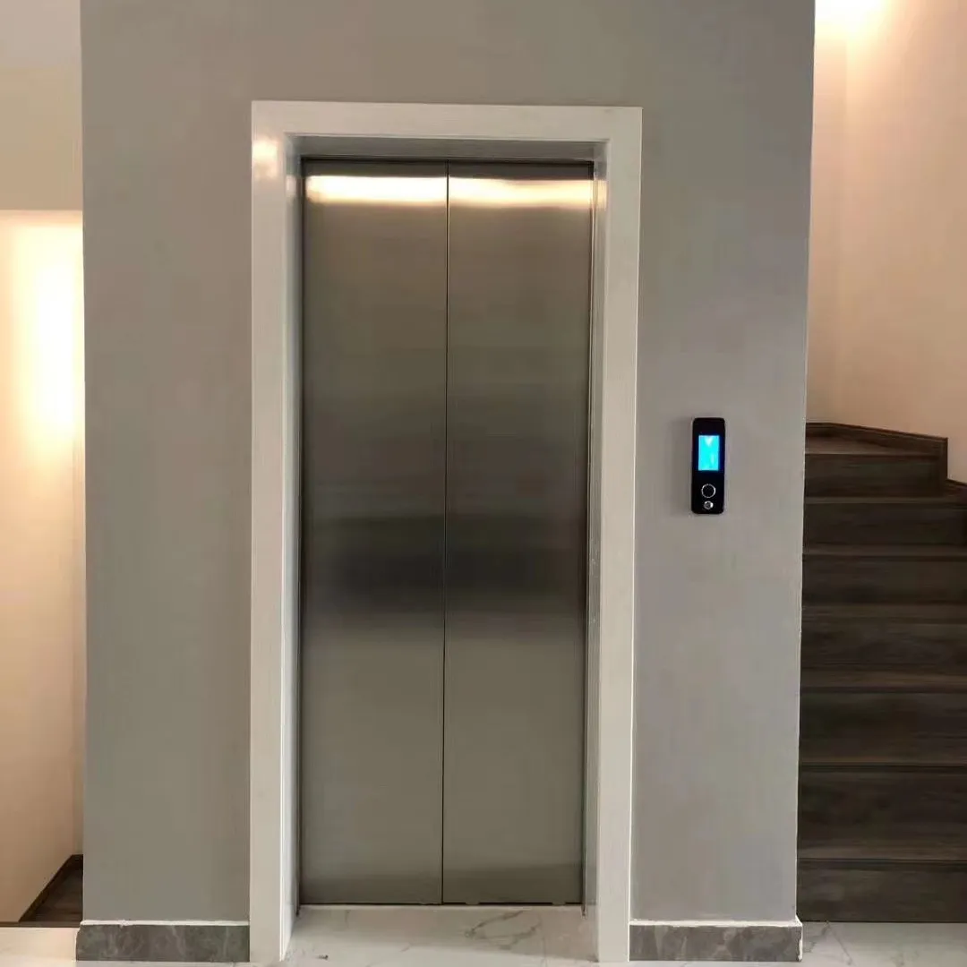 गर्म बिक्री घर पकड़ लिफ्टों कुओं लिफ्ट यात्री लिफ्ट कीमत छोटे घरों के लिए लिफ्ट