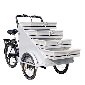 โรงงานผลิตจักรยานสามล้อขายของเคลื่อนที่ - Product Image 5