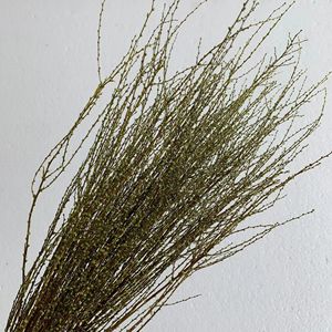 Cành Cây Liễu Tuyết Trắng Bảo Quản Cắm Hoa Nhân Tạo Cành Cây Liễu - Product Image 5