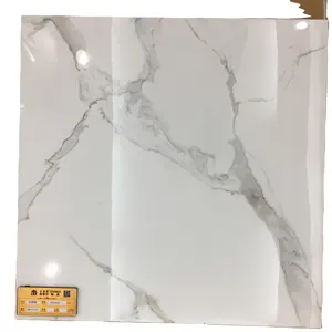 Carreaux 3D en marbre blanc poli, 6 pièces, 600x600mm, carsara, pour sol de FOSHAN jnb