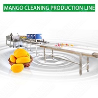 Productlijn voor machines voor het wassen van fruit