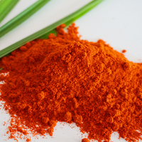 Bestseller-Pulver Beste Qualität Chilipulver für Kimchi