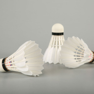 Gros <span class=keywords><strong>volant</strong></span> de <span class=keywords><strong>badminton</strong></span> avec une grande durabilité et <span class=keywords><strong>volant</strong></span> - Product Image 5