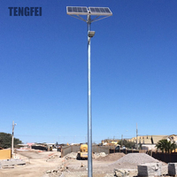 Nouveau modèle de lampadaire solaire électrique extérieur personnalisable 100W 200W