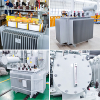 Transformador Elevador de Tensión 1250kVA 15KV, Probado en Fábrica, Sumergido en Aceite, para Redes de Distribución de Energía en África y Electrificación de Áreas Remotas
