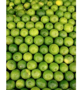 Citrons biologiques frais de la ferme, agrumes verts naturels mûrs, goût sucré et acidulé, pour la vente au détail et la restauration - Product Image 3
