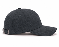 Wollen baseballpet met brede klep, winterwarm, hardtop, Koreaanse stijl, unisex, luipaardprint, verdikte bovenkant, 6-paneels ontwerp