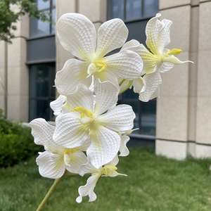 Orchidées Phalaenopsis <span class=keywords><strong>Vanda</strong></span>, 9 têtes, fleurs artificielles imprimées en 3D pour la décoration de mariage, de la maison et la photographie - Product Image 2