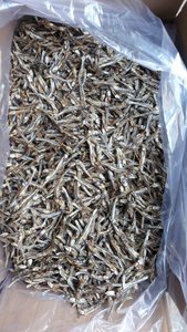 Anchoa de pescado secado al sol de Grado Superior-Pescado Premium Mariscos Anchoa seca Pescado de Loto Azul Vietnam - Product Image 2