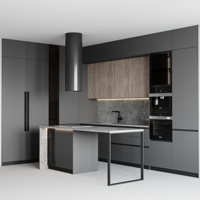 Laque pour rangement multiple ou finition coin magique déroulant pour armoire de cuisine style mobilier design moderne