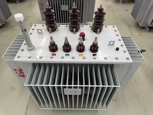 ดีกว่าหม้อแปลงไฟฟ้าแบบจุ่มน้ำมันสามเฟส 10kV - Product Image 5