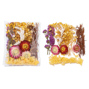 DIY en gros : Mini-mélange de fleurs séchées multicolores, <span class=keywords><strong>eucalyptus</strong></span> naturel en vrac, matériaux séchés - Product Image 5