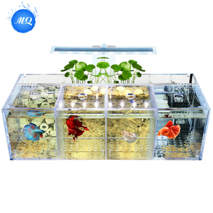 Modern 220V Betta Fish Tank Small Acrylic Desktop Incubator Isolation Box <strong>Water</strong>-Free Ecological <strong>Aquarium</strong> Plastic Breeding - Product Image 1