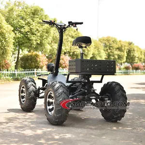 Rueda para adultos Carro de golf Ruedas de viaje Scooter para ancianos Disabl 8000W 4 Wheeler ATV eléctrico