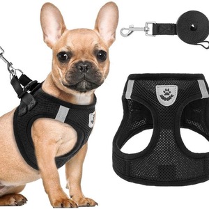 Dog Harness Breathable Mesh <b>Chest</b> Strap <b>Small</b> Breed Pet Walking Gear - Product Image 1