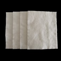 Géotextile non tissé en polyester pour la construction, le durcissement du béton, le renforcement et le drainage ; Feutre perméable ; Couverture de durcissement pour ciment blanc