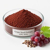 Extrait de pépins de raisin 95% OPC Proanthocyanidines HPLC de qualité alimentaire, poudre brun rougeâtre, fourni par l'usine