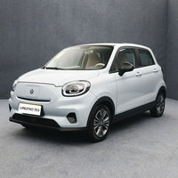 Voiture électrique pure Leapmotor Lingpao T03 2023, batterie au lithium-fer-phosphate, transmission à simple vitesse, autonomie 403 km (CLTC), 5 portes