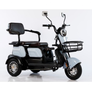 Triciclo Eléctrico, Bicicleta Eléctrica de Carga Motorizada, Scooter Eléctrico de Tres Ruedas, Triciclo Eléctrico para Adultos - Product Image 1