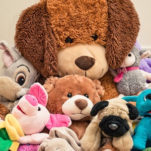 Peluche de Mascota Personalizado con Logotipo, Fabricado con Tela Ecológica, Suave y de Alta Calidad para Promoción de Marca Sostenible - Product Image 2