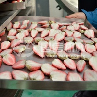 Hete Aanbieding Grote Capaciteit Drakenvrucht Schijfjes Stervrije Schijfjes Vriesdroogmachine voor Exotische Fruitsnacks